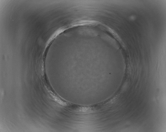 X0000082171362200701191256