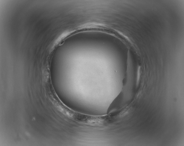 X0000082171363200701191256