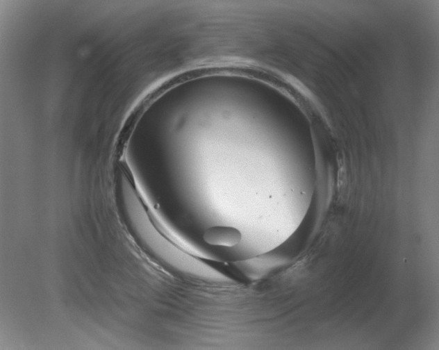 X0000082171364200701191256