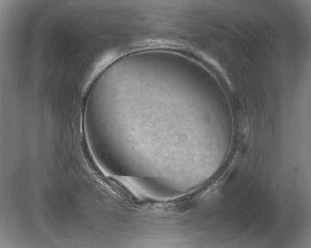 X0000082171365200701191256