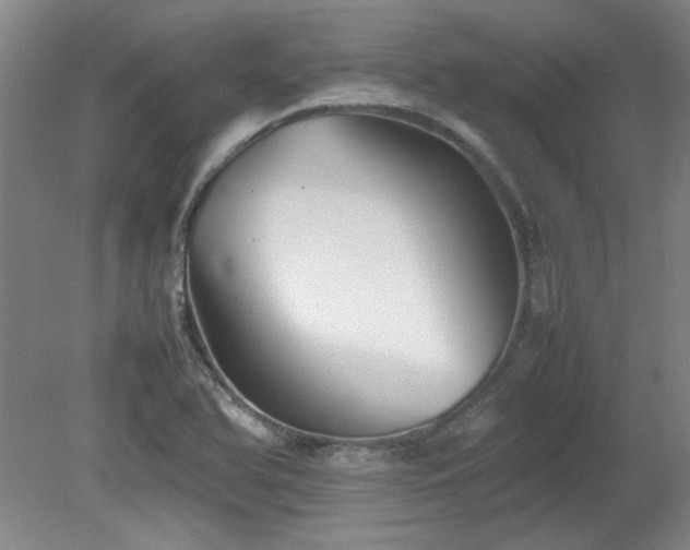 X0000082171366200701191256