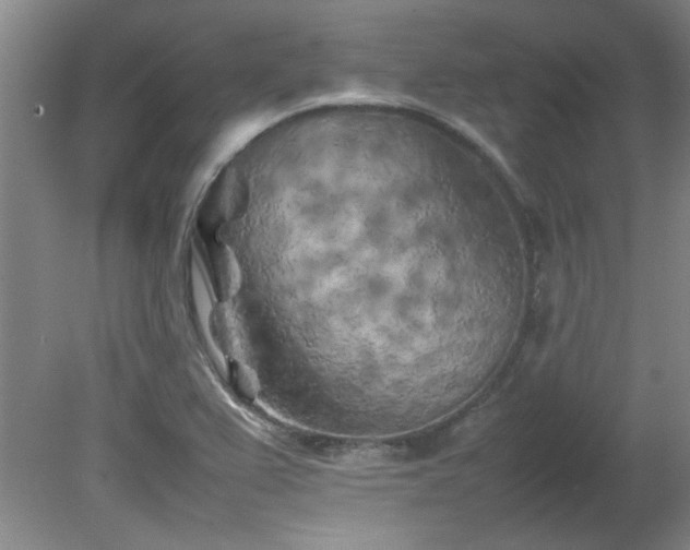 X0000082171367200701191256