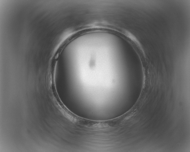 X0000082171368200701191256