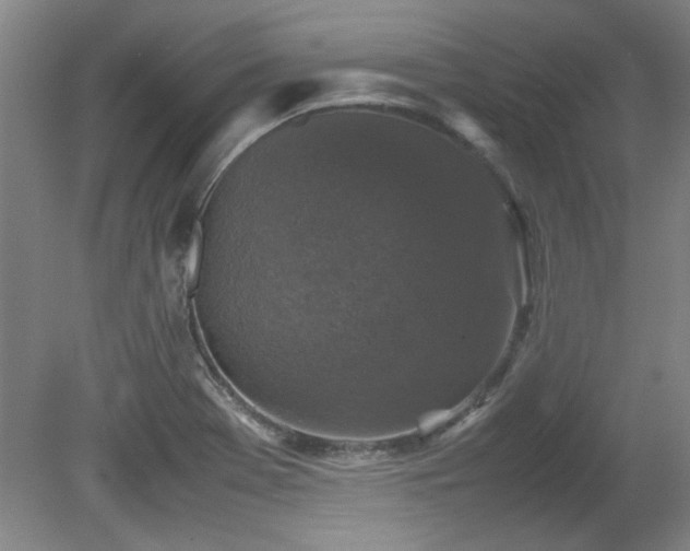 X0000082171369200701191256