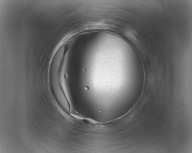 X0000082171370200701191256