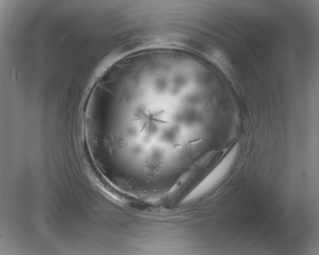 X0000082171371200701191256