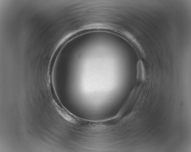 X0000082171372200701191256