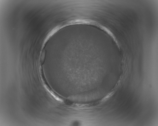 X0000082171373200701191256