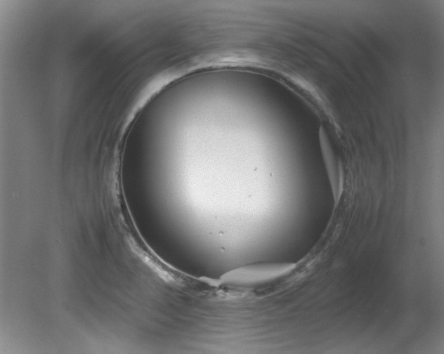 X0000082171374200701191256