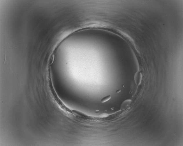 X0000082171375200701191256