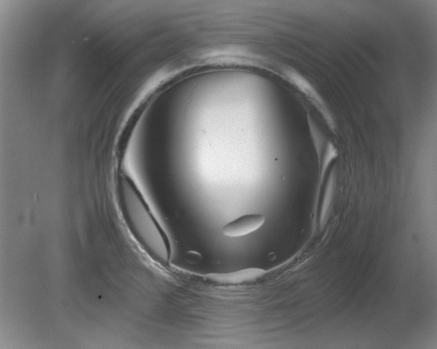 X0000082171376200701191256