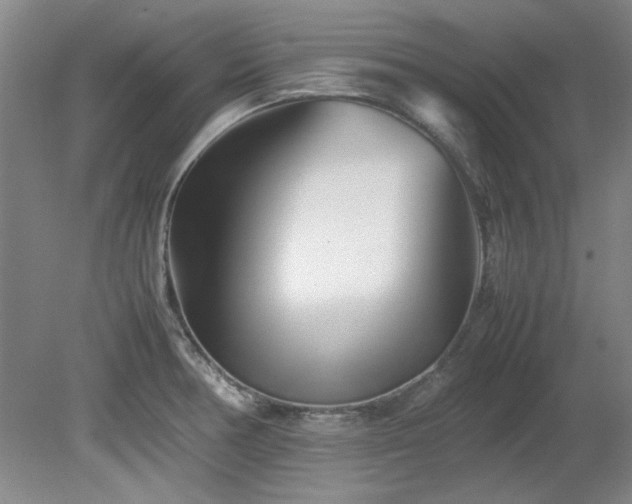 X0000082171378200701191256