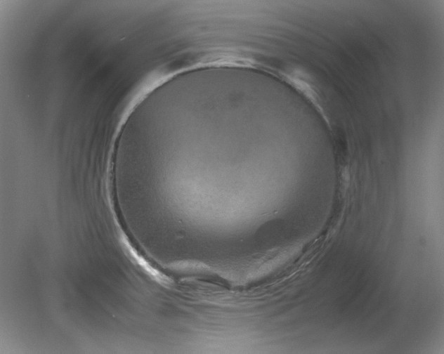 X0000082171379200701191256