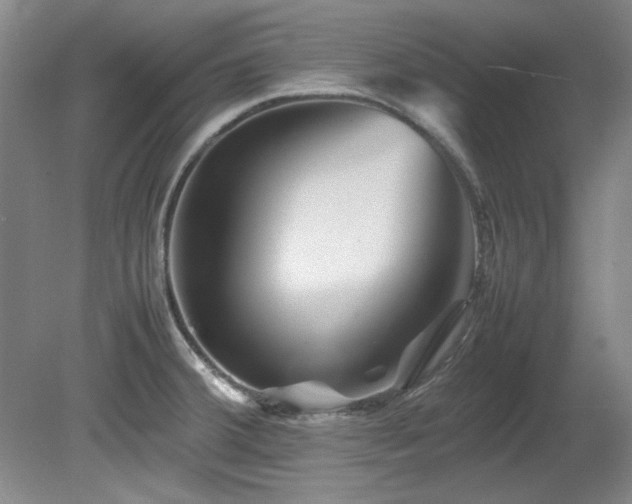 X0000082171380200701191256