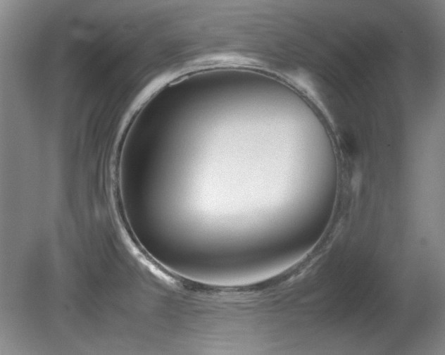 X0000082171381200701191256