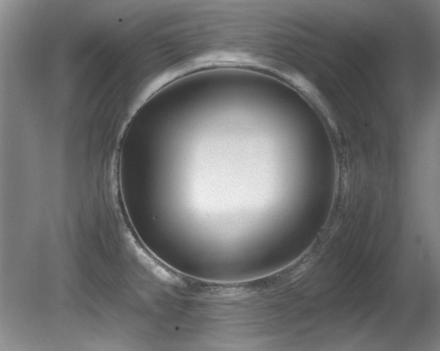 X0000082171382200701191256