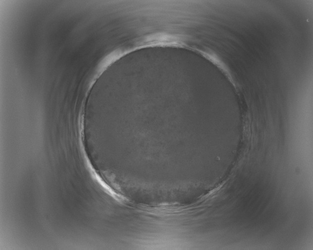 X0000082171383200701191256