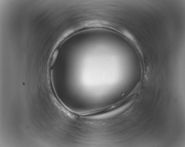 X0000082171384200701191256