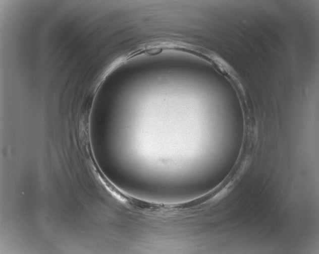 X0000082171385200701191256