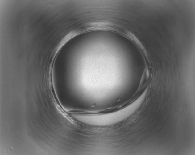 X0000082171386200701191256