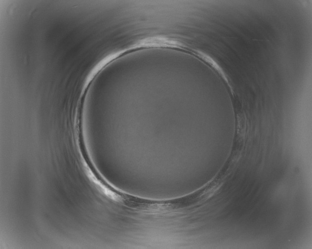 X0000082171387200701191256