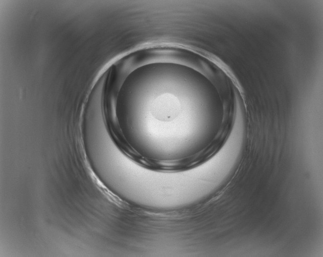 X0000082171388200701191256