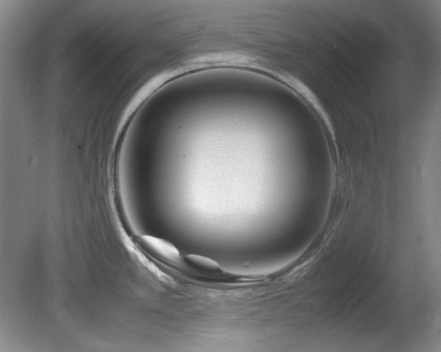 X0000082171389200701191256