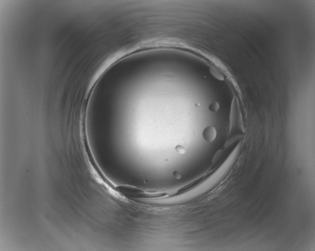 X0000082171390200701191256