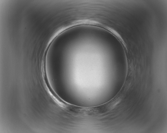 X0000082171391200701191256