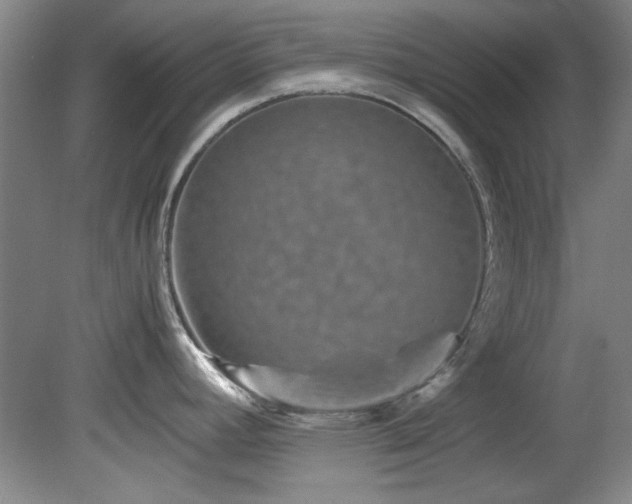 X0000082171392200701191256