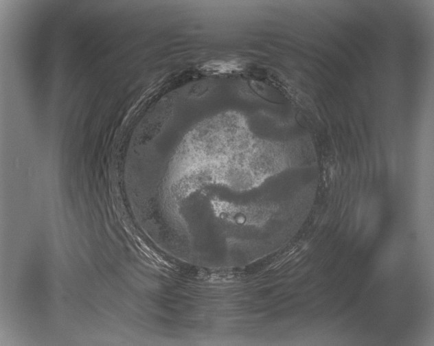 X0000082171393200701191255