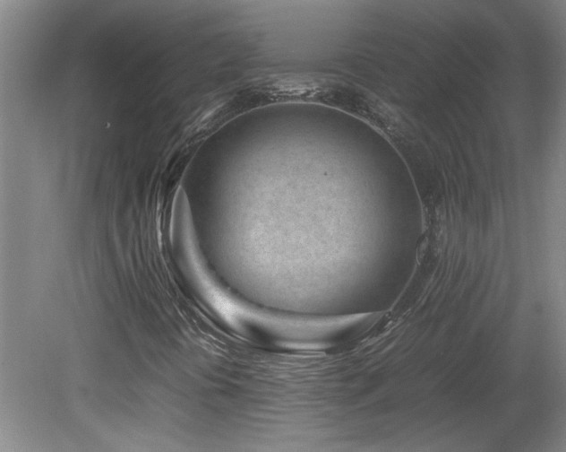 X0000082171394200701191255