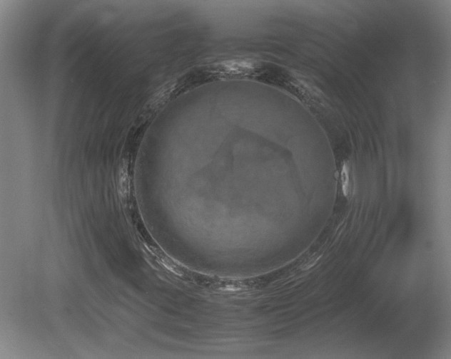 X0000082171395200701191255