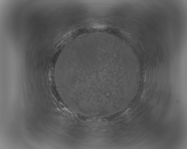 X0000082171397200701191255