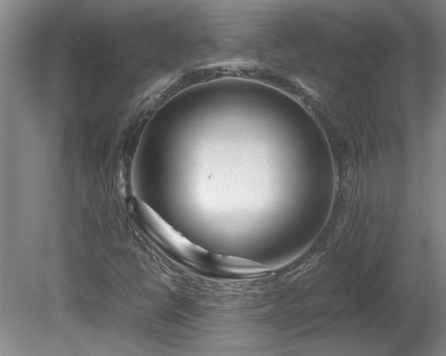 X0000082171398200701191255