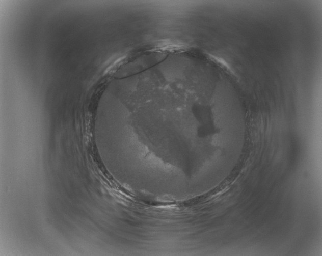 X0000082171399200701191255