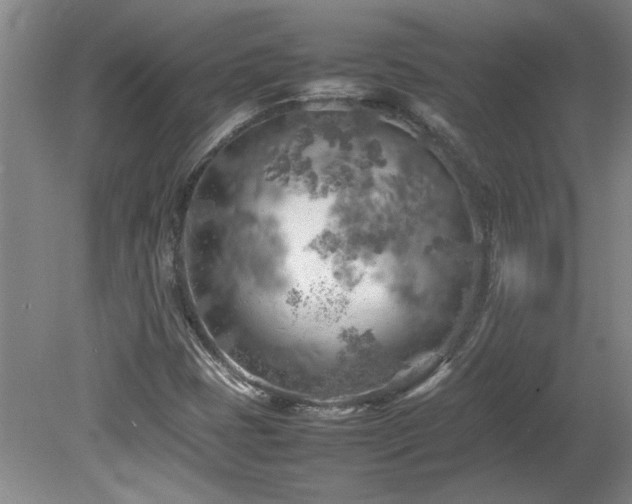 X0000082171401200701191255