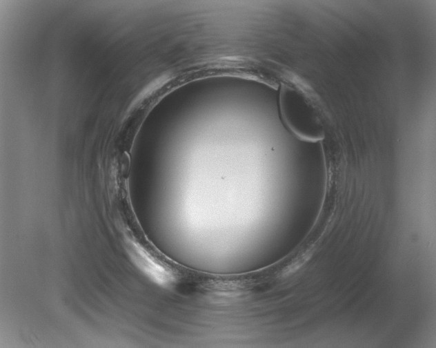 X0000082171402200701191255