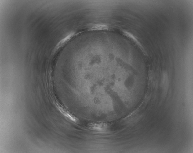 X0000082171403200701191255