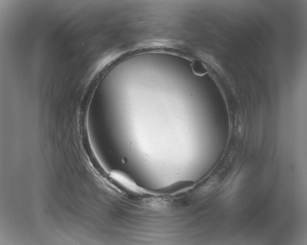 X0000082171404200701191255