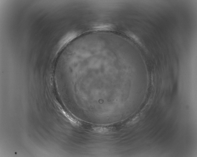 X0000082171405200701191255