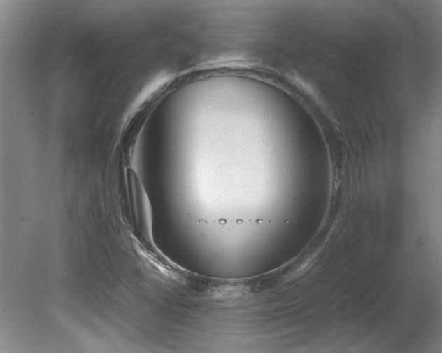 X0000082171406200701191255