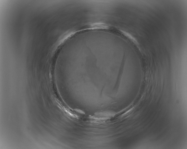 X0000082171407200701191255