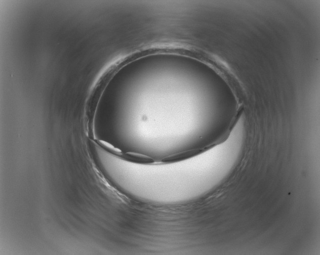 X0000082171408200701191255