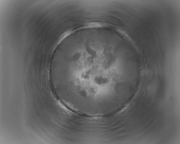 X0000082171409200701191255