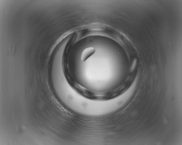 X0000082171410200701191255