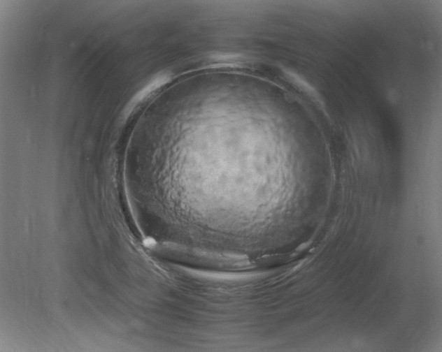 X0000082171411200701191255