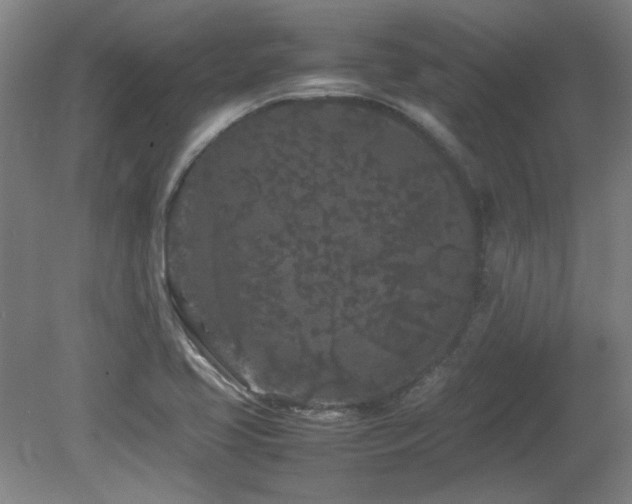 X0000082171413200701191255