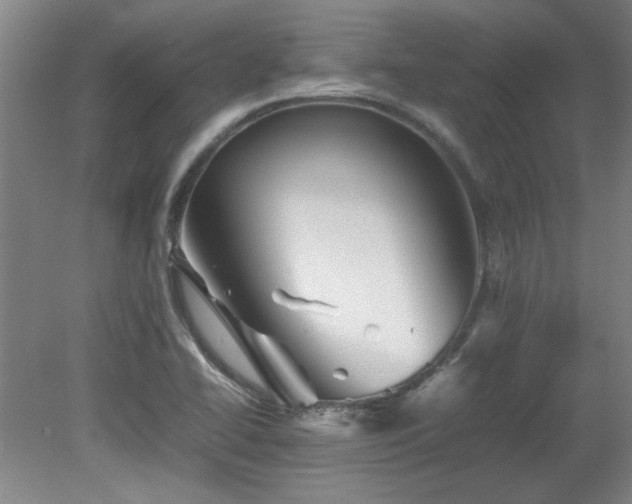 X0000082171414200701191255