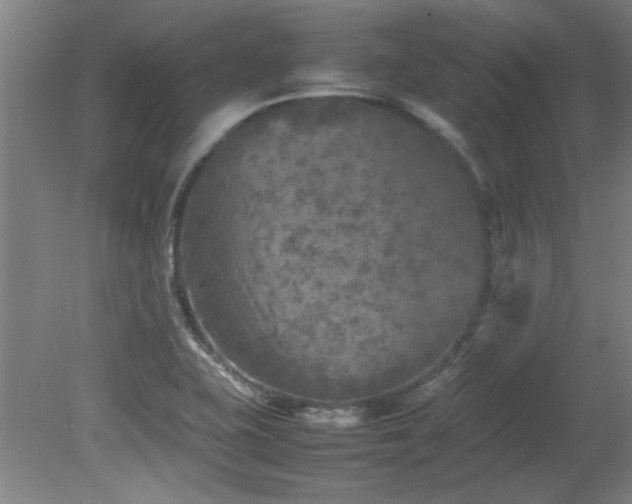 X0000082171415200701191255